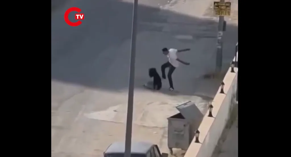 Στιγμιότυπο οθόνης 2026 08 22 173324