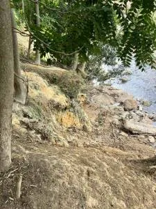 Μεταμόρφωση: Εικόνες σοκ από τη ρύπανση του Κηφισού-Έριχναν απόβλητα από επεξεργασία σκυροδέματος-Συνελήφθη 55χρονος 10 7102310