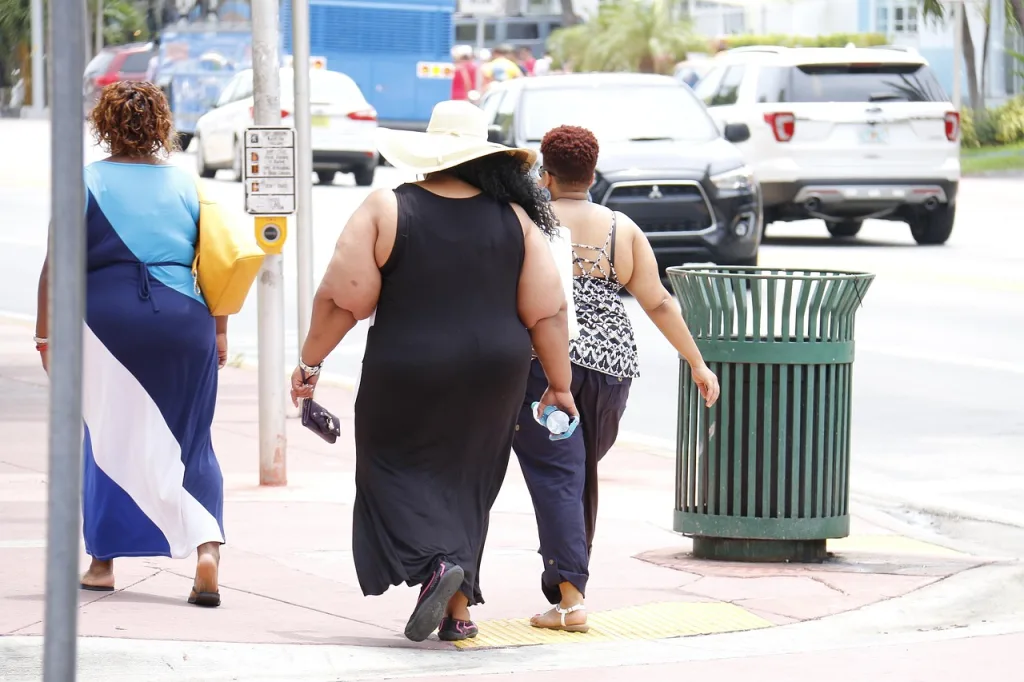 FATNESS