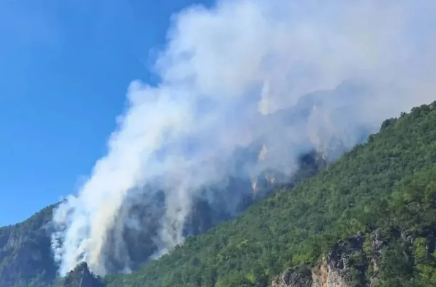  Κόνιτσα: Μεγάλη αναζωπύρωση  της φωτιάς στην Τραπεζίτσα 