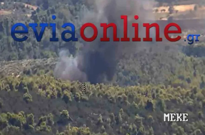  Εύβοια: Φωτιά σε πευκοδάσος στη Δίρφη
