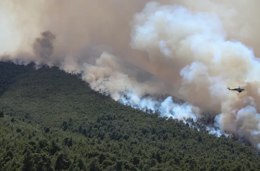  Κόνιτσα: Υπό έλεγχο μετά από 21 μέρες η φωτιά