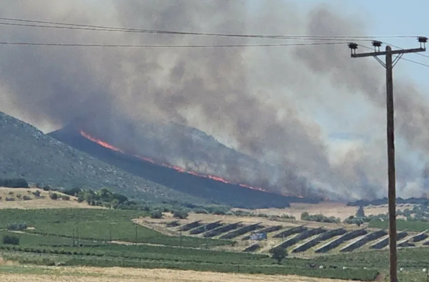  Μαίνεται η φωτιά στον Μύτικα Θήβας- Στη μάχη 20 εναέρια μέσα (vid)