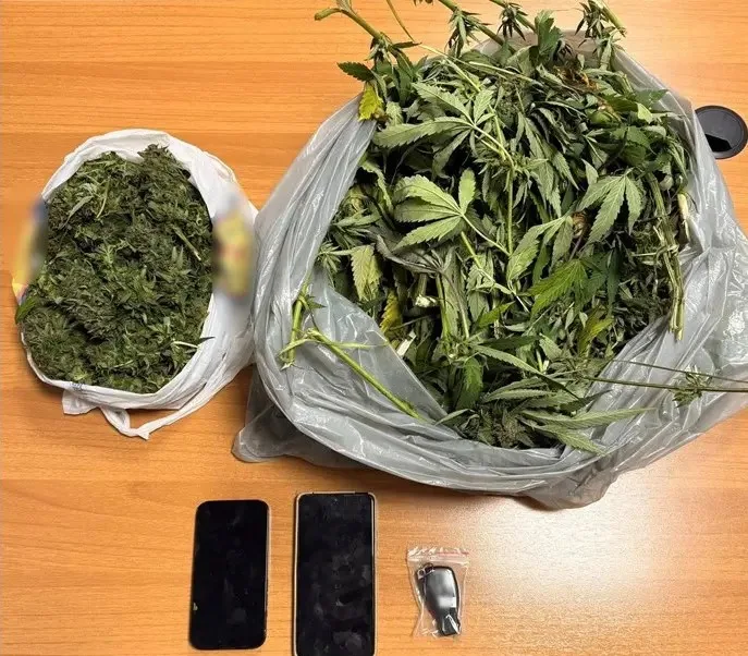 Συλλήψεις 19 ατόμων για ναρκωτικά σε Ανατολική Μακεδονία και Θράκη εντός 4 ημερών 3 kannavis