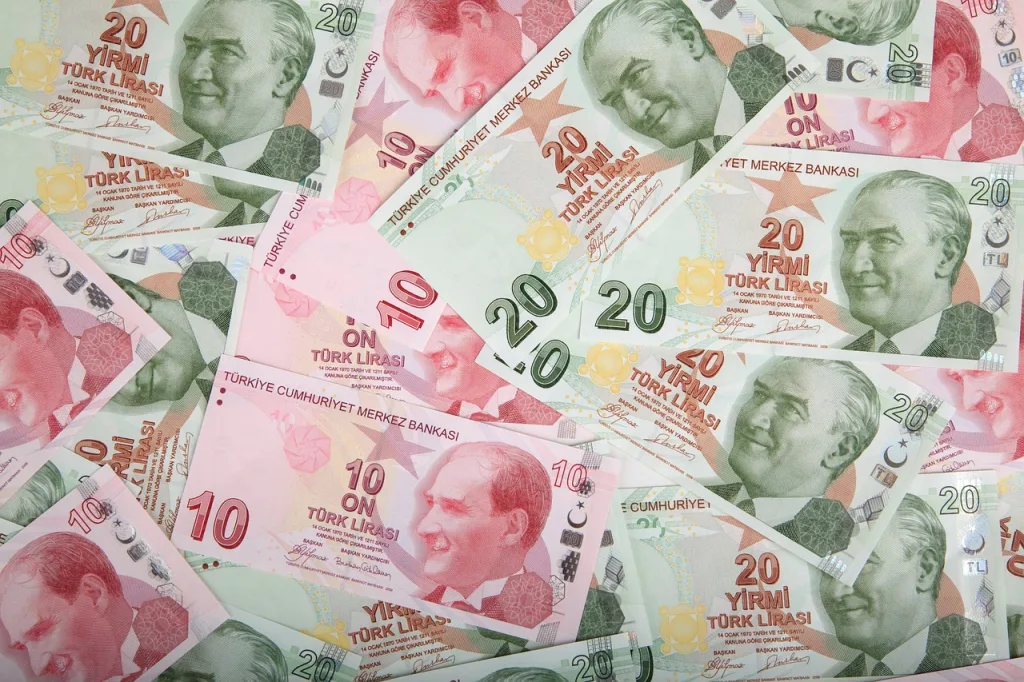 money turkey