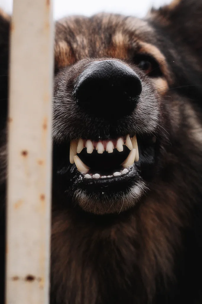 Photo by Rodrigo Hanna on Pexels