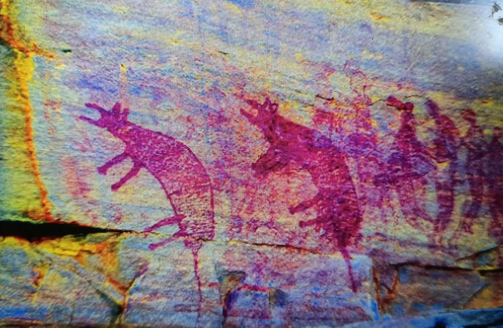 tigris of tasmania