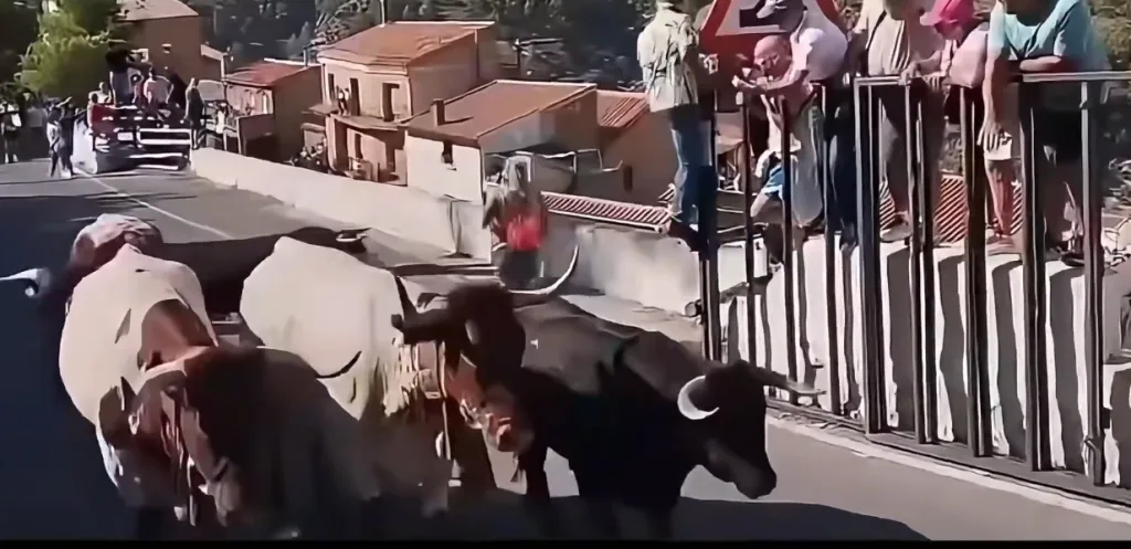 Στιγμιότυπο οθόνης 2026 09 06 164328