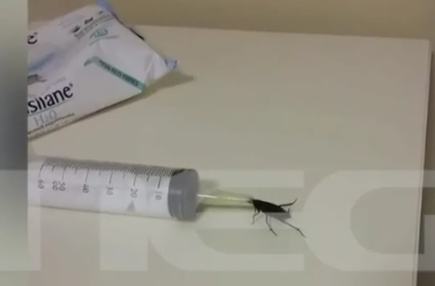  Θεσσαλονίκη: Κατσαρίδες και μουχλιασμένα φαγητά στο παράνομο ογκολογικό τμήμα της κλινικής